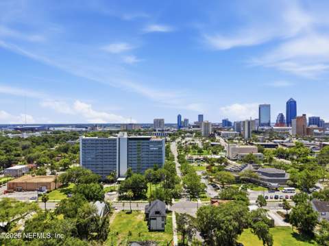 205 E 1st Street, Jacksonville FL - photo 7 of 54