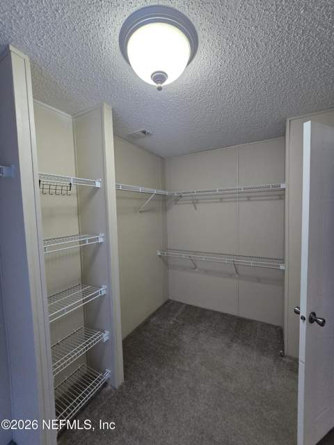 229 Dolphin Circle, Middleburg FL - photo 6 of 25