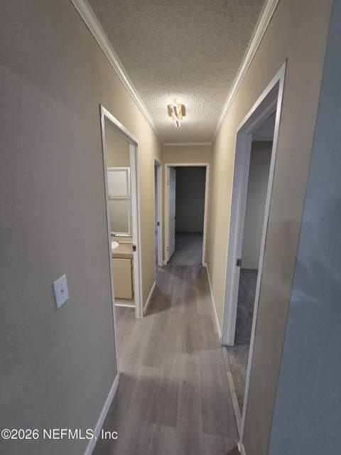 229 Dolphin Circle, Middleburg FL - photo 15 of 25
