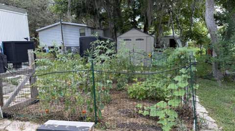 112 Violet Circle, Interlachen FL - photo 23 of 55