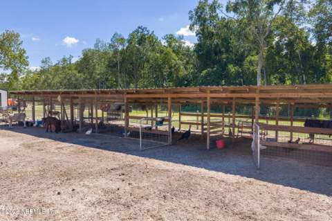 318 Branding Iron Drive, Maxville FL - photo 9 of 81
