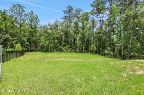 2309 Jennings Farm Drive, Middleburg FL - photo 11 of 96