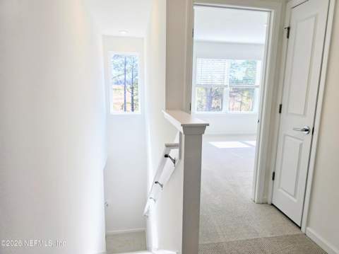 2469 Jennings Farm Drive, Middleburg FL - photo 10 of 17