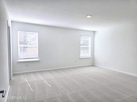 2469 Jennings Farm Drive, Middleburg FL - photo 13 of 17