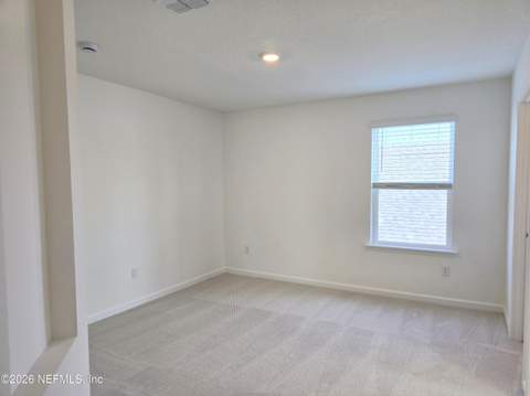 2469 Jennings Farm Drive, Middleburg FL - photo 16 of 17
