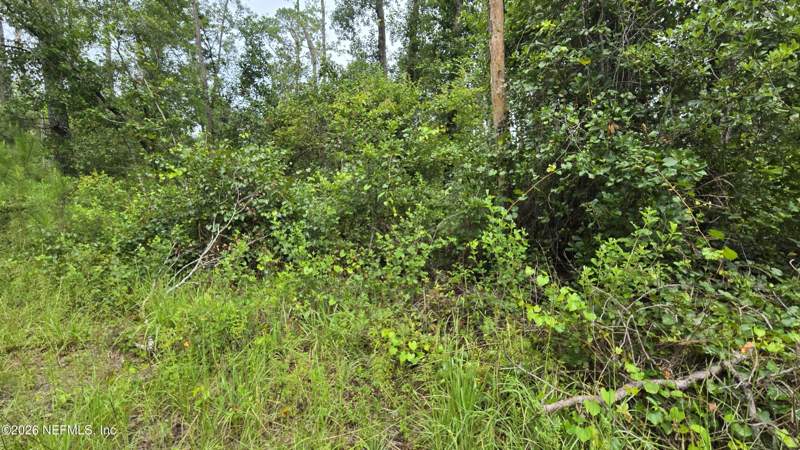 Unimproved Land at Lot 16 16th Street, Fox Hollow, Jasper — photo 5