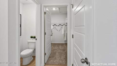 4522 White Ibis Lane, Green Cove Springs FL - photo 17 of 81