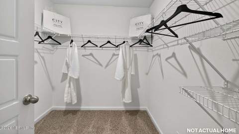 4522 White Ibis Lane, Green Cove Springs FL - photo 19 of 81