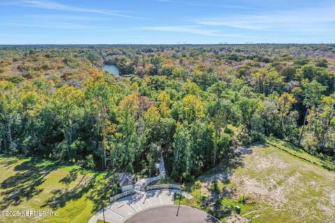 2301 Jennings Farm Drive, Middleburg FL - photo 9 of 16