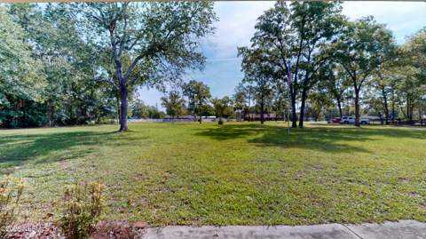 4201 Sidewinder Trail, Middleburg FL - photo 8 of 67