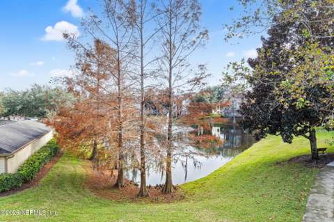 7800 POINT MEADOWS Drive #621, Jacksonville FL - photo 24 of 33