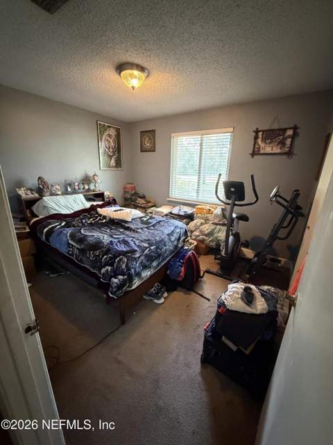 4256 Hall Boree Road, Middleburg FL - photo 22 of 33