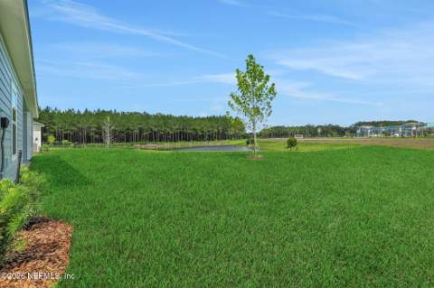 365 Silver Lily Way, St. Augustine FL - photo 6 of 57