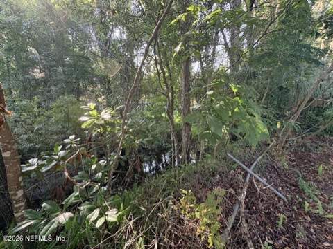 108 River Road Drive, Palatka FL - photo 24 of 25