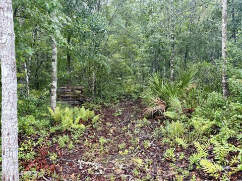 6985 Woodward Road, St. Augustine FL - photo 17 of 17