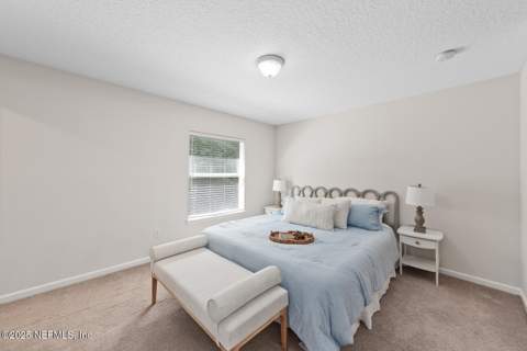 808 Black Cherry Drive, St. Johns FL - photo 21 of 43