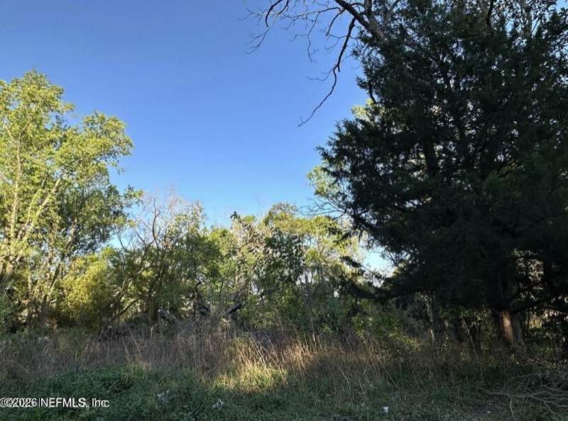Unimproved Land at 223 Bronson Street, West Hollybrook, Jacksonville — photo 2