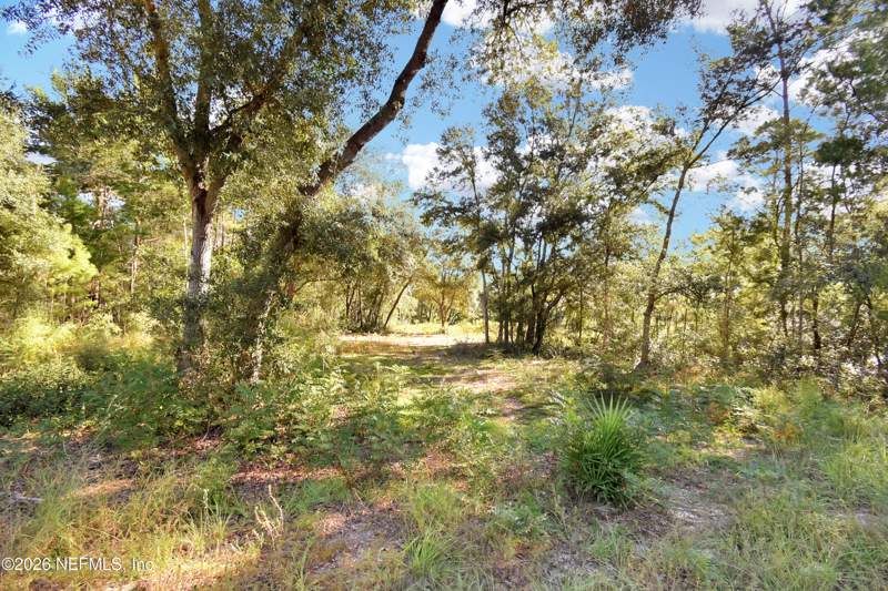 Unimproved Land at 7455 Rye Court, Big Tree Lakes, Keystone Heights — photo 2