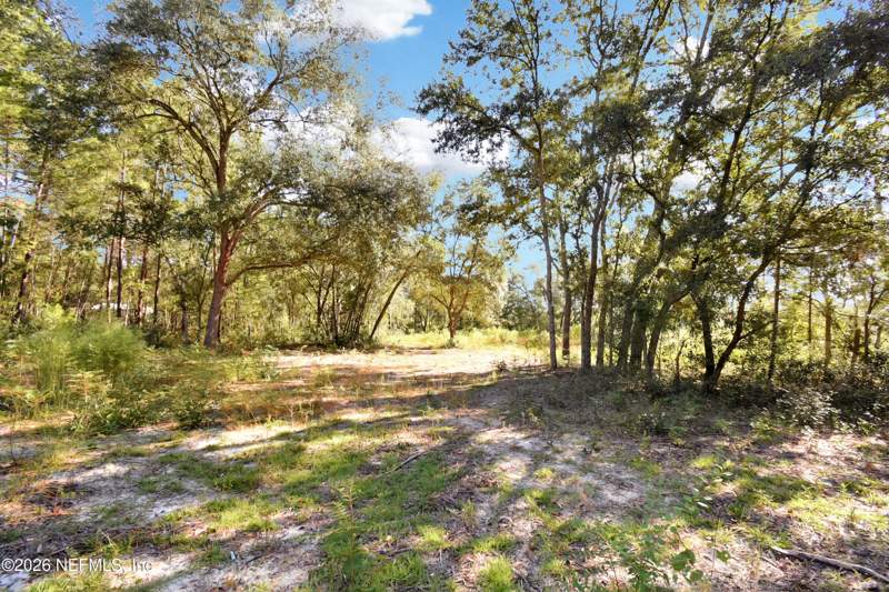 Unimproved Land at 7455 Rye Court, Big Tree Lakes, Keystone Heights — photo 3