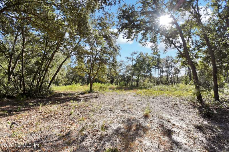 Unimproved Land at 7455 Rye Court, Big Tree Lakes, Keystone Heights — photo 4
