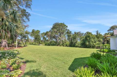 199 Canopy Hall Drive, St. Augustine FL - photo 14 of 74
