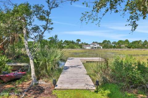 199 Canopy Hall Drive, St. Augustine FL - photo 15 of 74