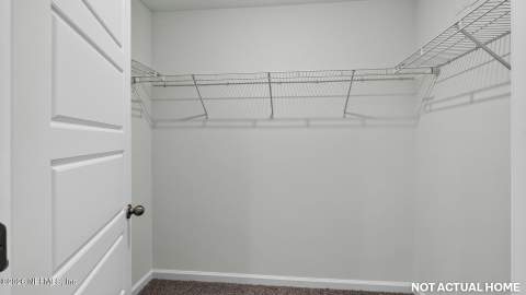4238 Migration Way, Green Cove Springs FL - photo 21 of 61
