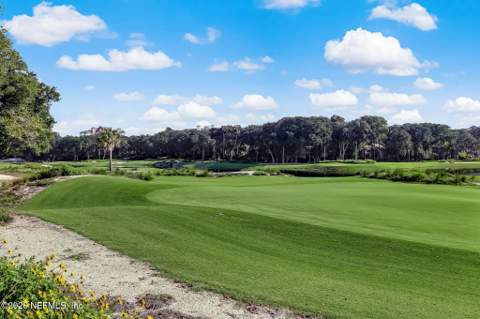 3111 Sea Marsh Road, Fernandina Beach FL - photo 15 of 22