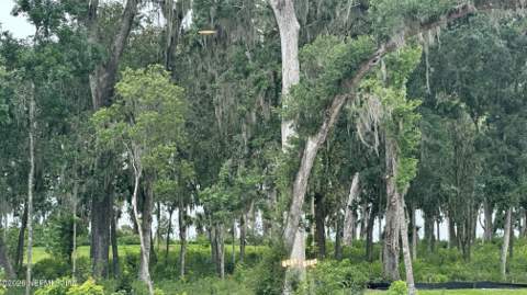 94 Slip Cove, St. Johns FL - photo 11 of 41