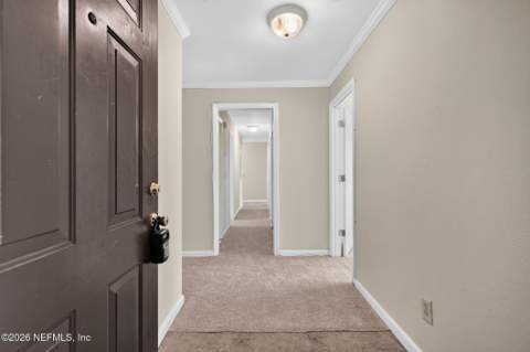 8880 Old Kings Road #36, Jacksonville FL - photo 7 of 51