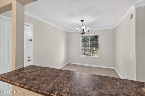 8880 Old Kings Road #36, Jacksonville FL - photo 14 of 51