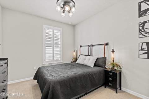 11166 Town View Drive, Jacksonville FL - photo 21 of 52