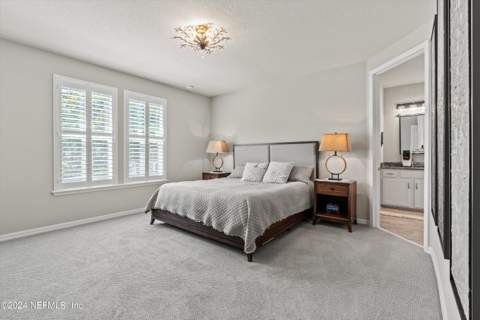 11166 Town View Drive, Jacksonville FL - photo 23 of 52