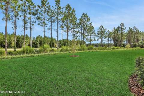 3766 Holstein Way, Green Cove Springs FL - photo 6 of 50