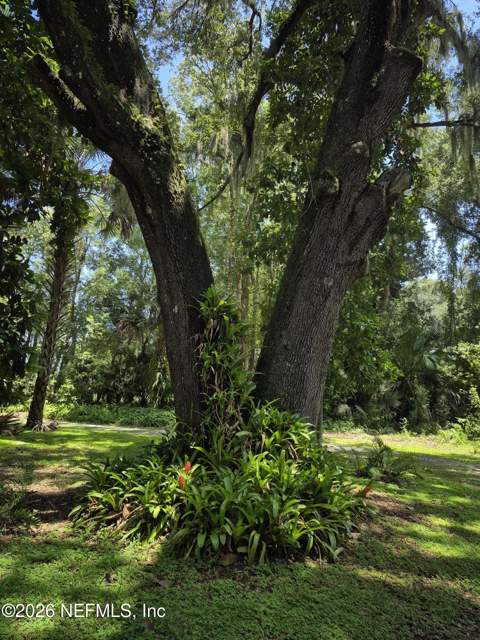 737 Junction Road, Crescent City FL - photo 14 of 14