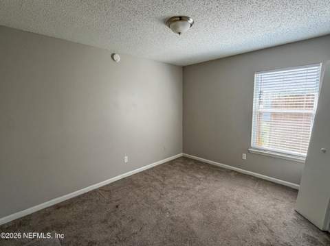 1293 Munson Cove Drive, Jacksonville FL - photo 12 of 17