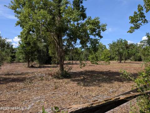 1425 Lee Road, St. Johns FL - photo 8 of 8