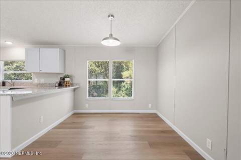 167 Peppermint Avenue, Middleburg FL - photo 12 of 37
