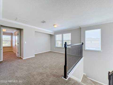 8106 Cape Fox Drive, Jacksonville FL - photo 19 of 55