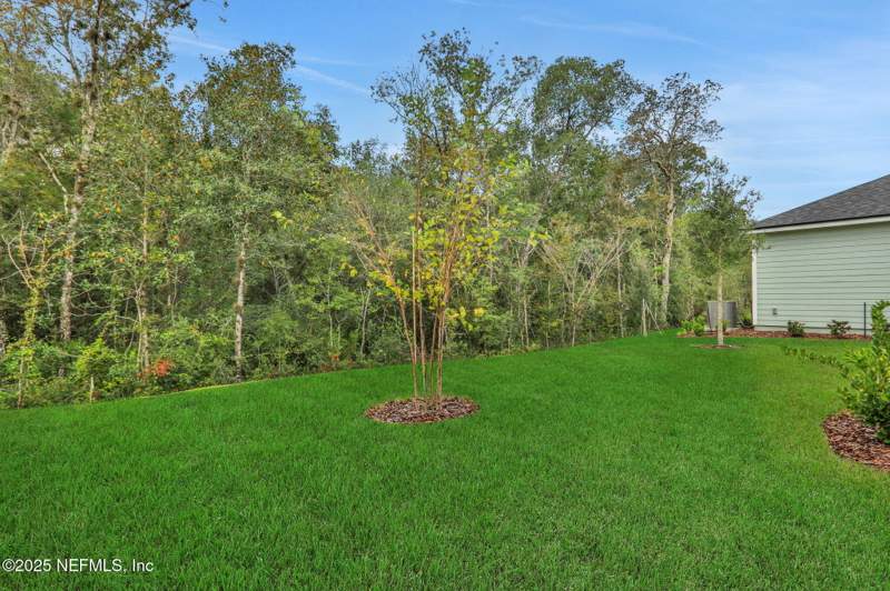 3 bedroom Single Family Residence at 643 Farmfield Drive, Trailmark, St. Augustine — photo 5