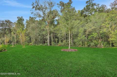 643 Farmfield Drive, St. Augustine FL - photo 8 of 45