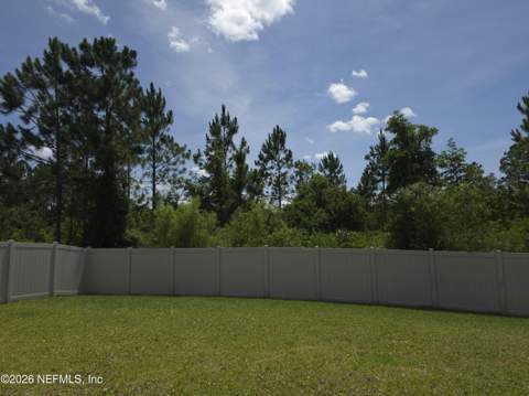 11605 Pacific Dogwood Court, Jacksonville FL - photo 9 of 28