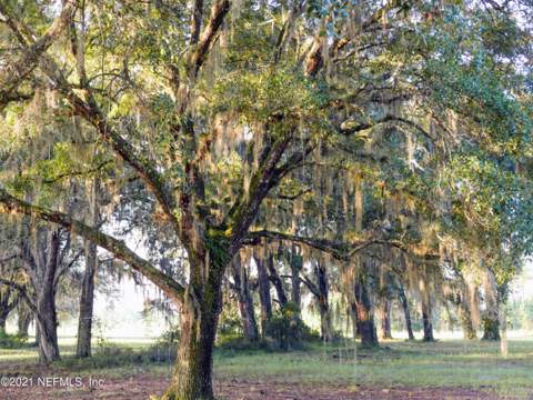 782 Farmfield Drive, St. Augustine FL - photo 15 of 21