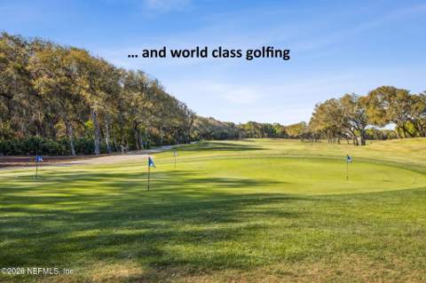 4800 Amelia Island Parkway #B-103, Fernandina Beach FL - photo 16 of 60