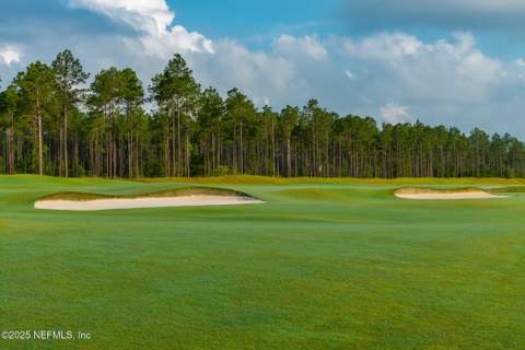 346 Dogleg Run, St. Johns FL - photo 21 of 61