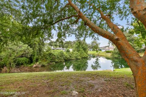 12619 Fish Hawk Lane, Jacksonville FL - photo 8 of 41