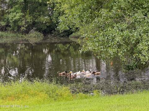 11674 Bridges Road, Jacksonville FL - photo 24 of 31