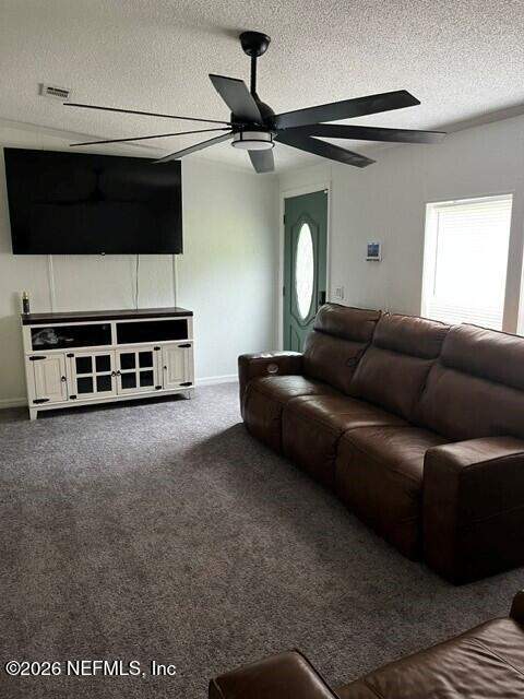 4856 McAllister Road, Middleburg FL - photo 11 of 15