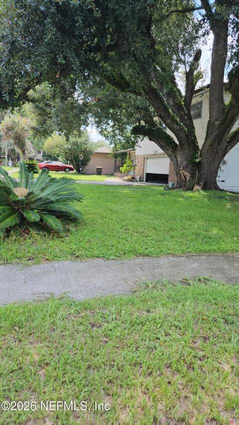 8264 Caravelle Drive, Jacksonville FL - photo 7 of 37