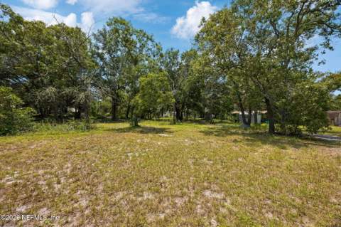 85374 Tinya Road, Yulee FL - photo 10 of 17